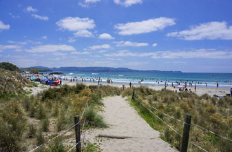Top 5 Beaches in Auckland